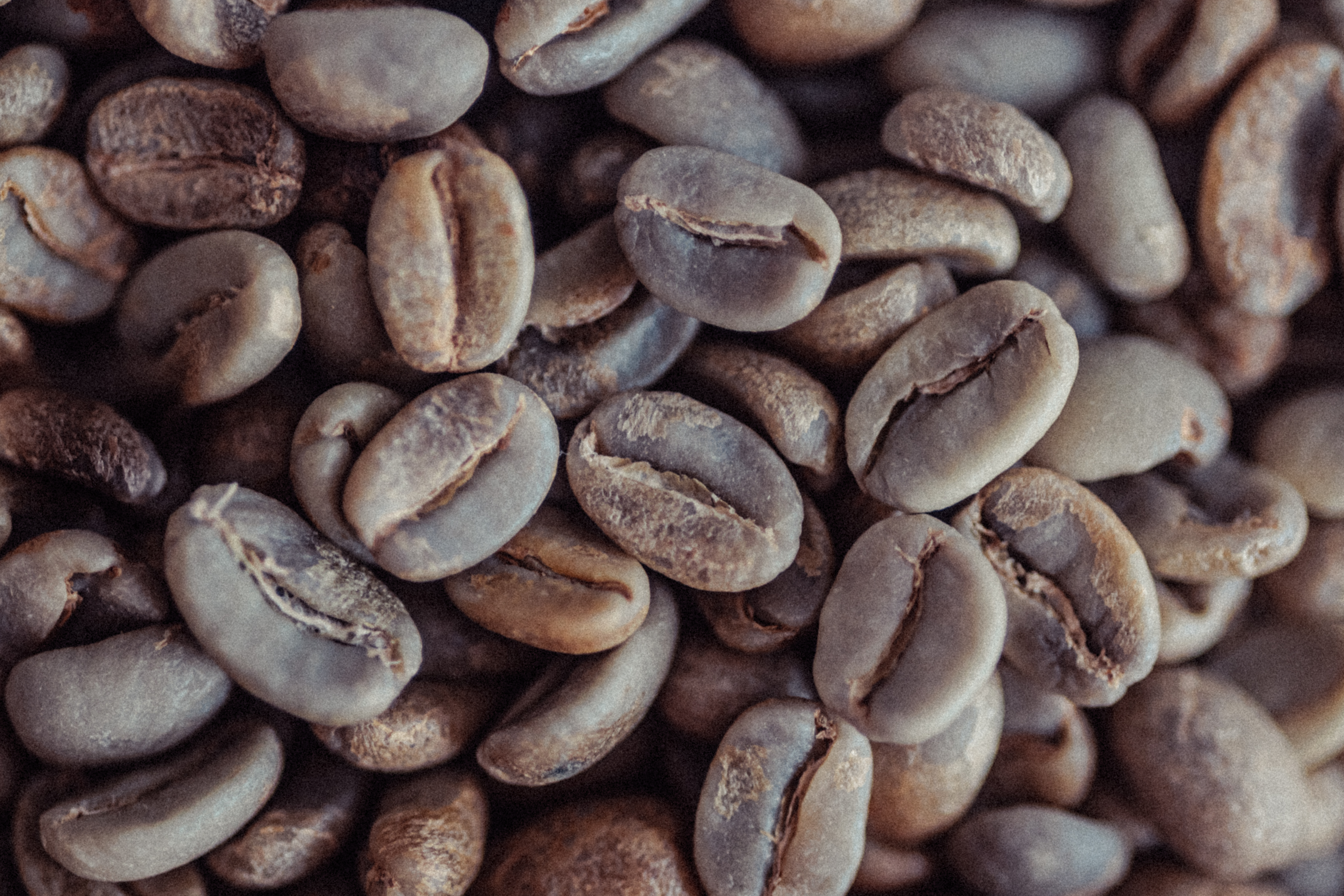 Zum Rohkaffee für Heimröster*innen