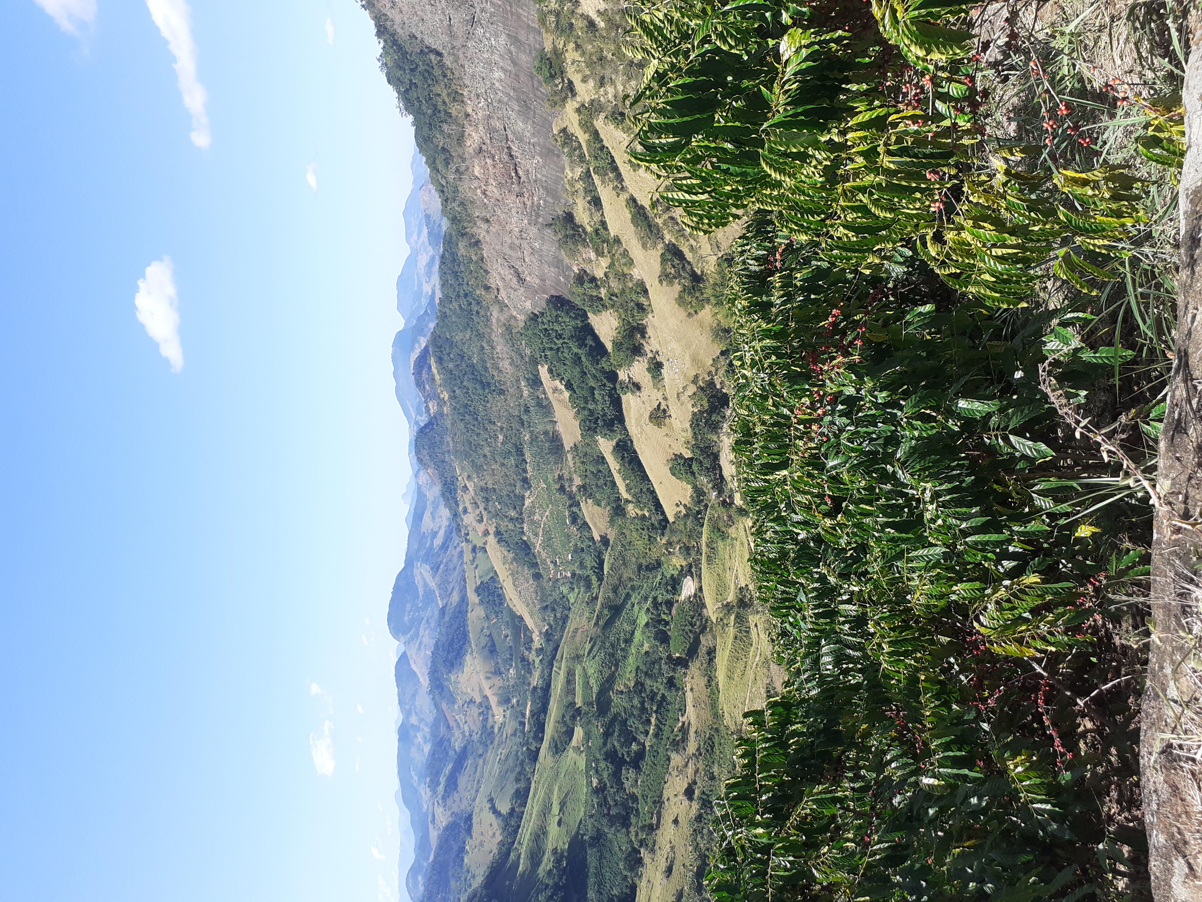 Ein Landschaftsbild mit der Sicht der Farm. Im Hintergrund Berge.